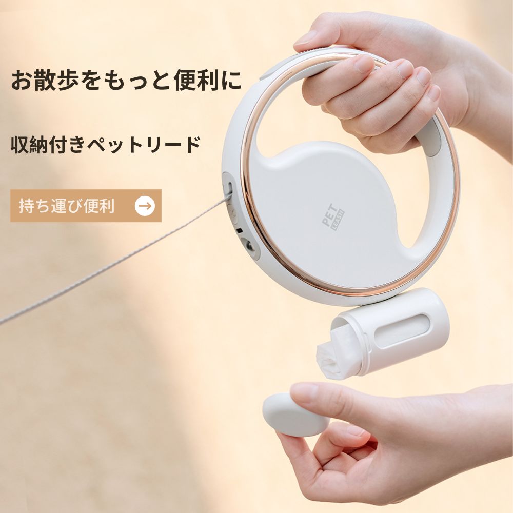 夜のお散歩