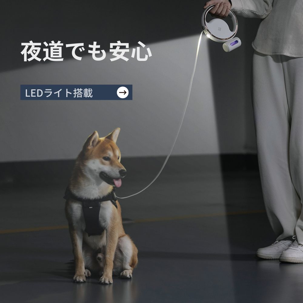 夜道でも安心 ペット用LEDリード