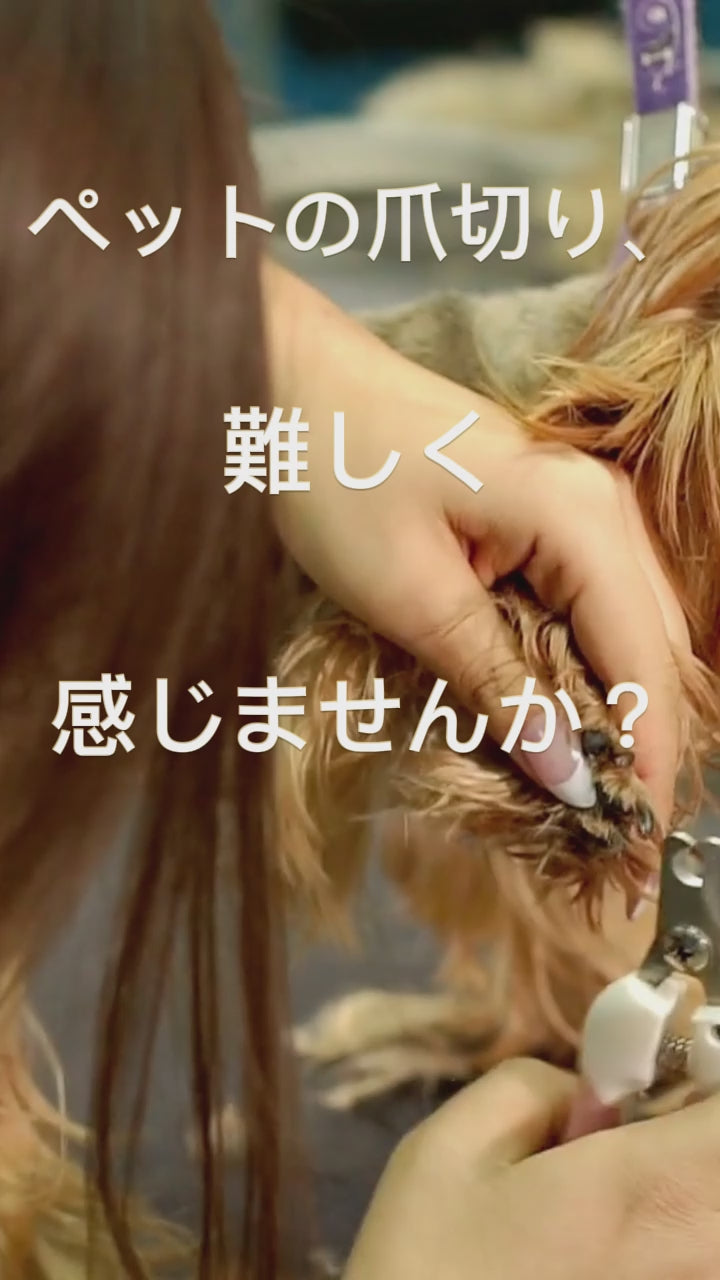 動画を読み込む: 